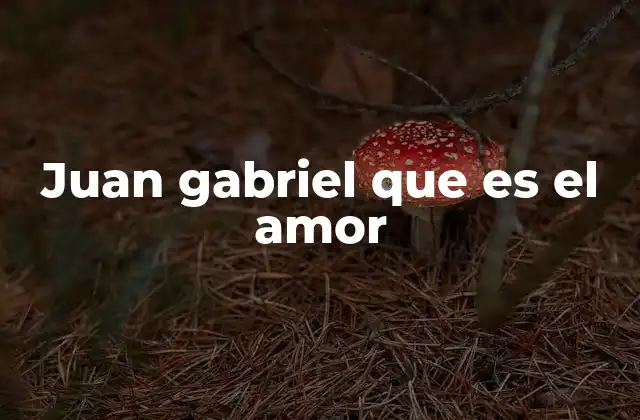 Juan Gabriel que es el Amor
