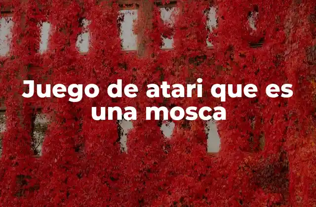 Juego de Atari que es una Mosca