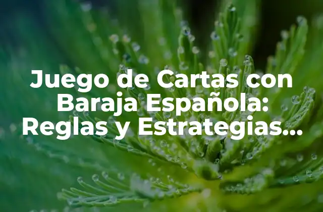 Juego de Cartas con Baraja Española: Reglas y Estrategias para Dominar