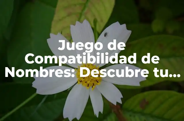 Juego de Compatibilidad de Nombres: Descubre Tu Pareja Ideal
