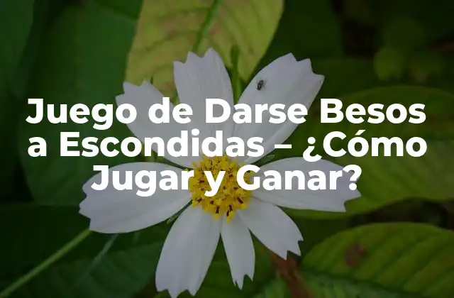 Juego de Darse Besos a Escondidas – ¿cómo Jugar y Ganar?