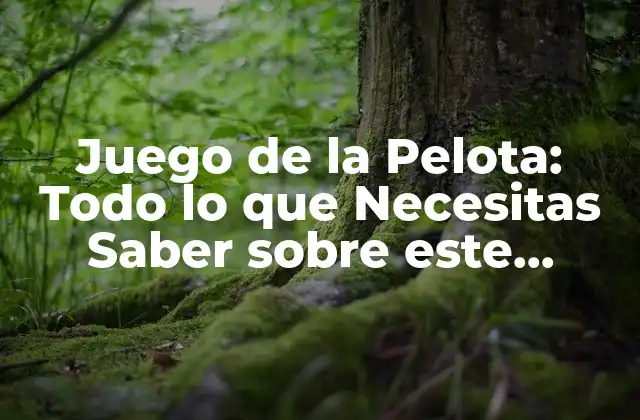 Juego de la Pelota: Todo Lo que Necesitas Saber sobre Este Divertido Pasatiempo