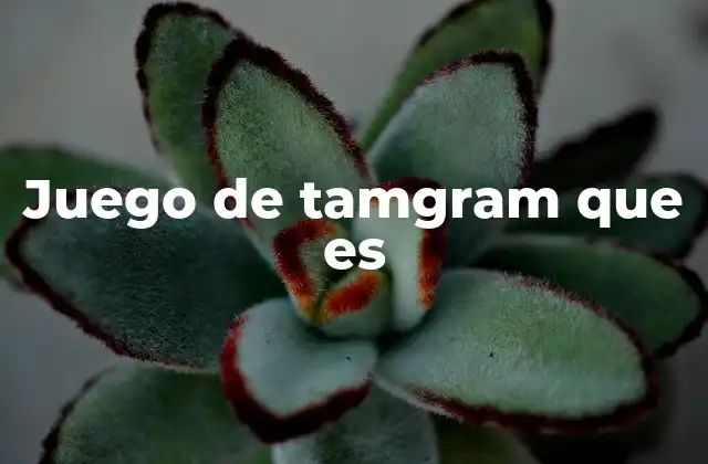 Juego de Tamgram que es