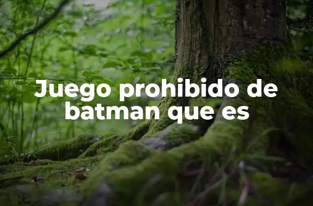 Juego Prohibido de Batman que es
