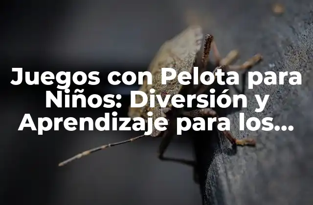 Juegos con Pelota para Niños: Diversión y Aprendizaje para los Pequeños