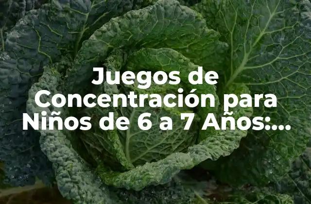 Juegos de Concentración para Niños de 6 a 7 Años: Desarrolla Sus Habilidades Cognitivas