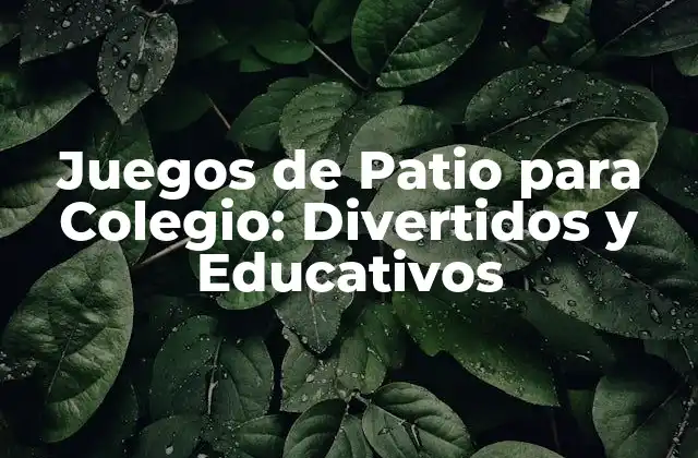 Tipos de Juegos de Patio para Colegio