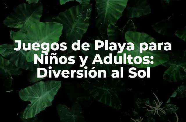 Juegos de Playa para Niños y Adultos: Diversión Al Sol