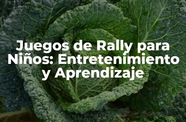 Juegos de Rally para Niños: Entretenimiento y Aprendizaje