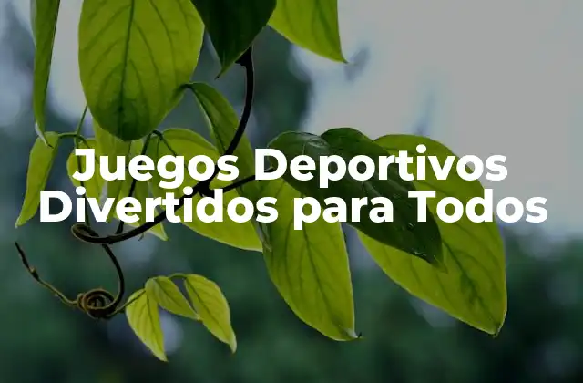 Juegos Deportivos Divertidos para Todos