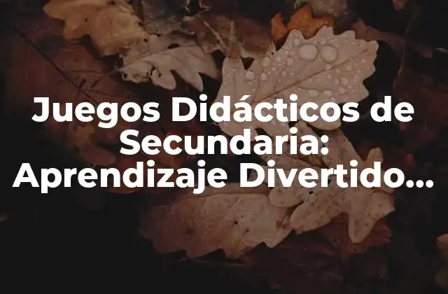 ¿Qué son los Juegos Didácticos de Secundaria?