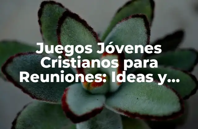 Juegos Jóvenes Cristianos para Reuniones: Ideas y Actividades Divertidas