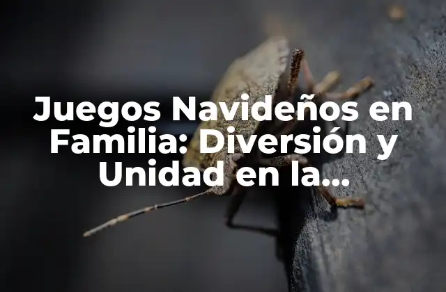 Juegos Navideños en Familia: Diversión y Unidad en la Temporada de Navidad