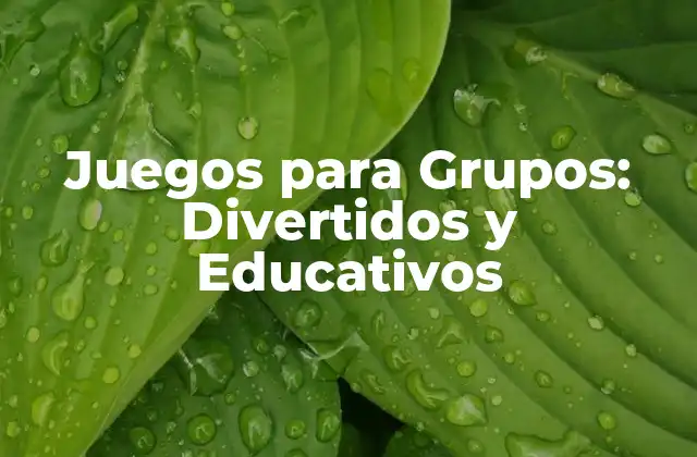 Juegos para Grupos: Divertidos y Educativos