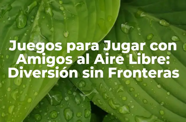 Juegos para Jugar con Amigos Al Aire Libre: Diversión sin Fronteras