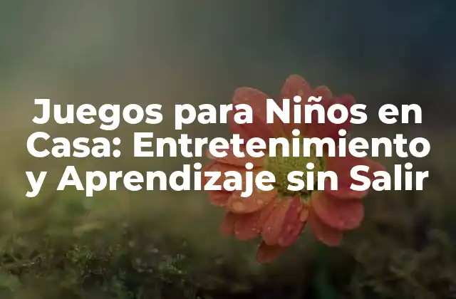 Juegos para Niños en Casa: Entretenimiento y Aprendizaje sin Salir