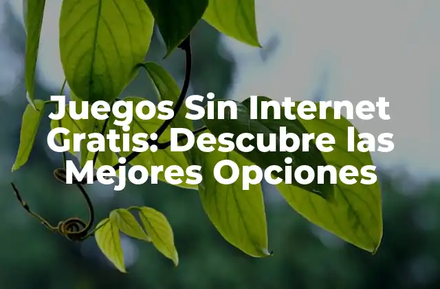 Juegos sin Internet Gratis: Descubre las Mejores Opciones