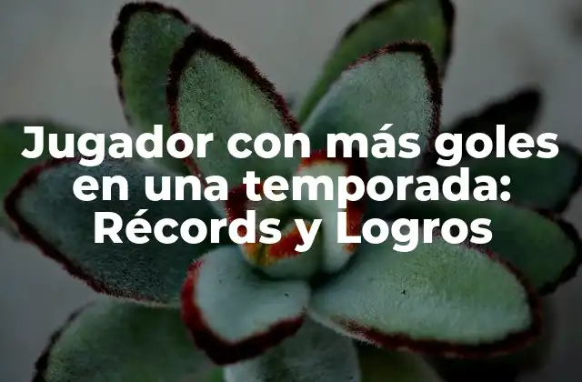 Jugador con Más Goles en una Temporada: Récords y Logros
