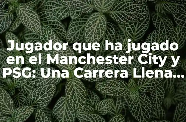 Jugador que Ha Jugado en el Manchester City y Psg: una Carrera Llena de Éxito