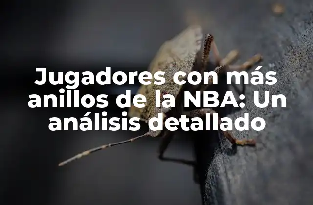 Jugadores con Más Anillos de la Nba: un Análisis Detallado