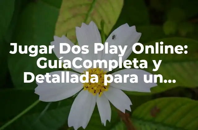 Jugar Dos Play Online: Guíacompleta y Detallada para un Diversión Segura