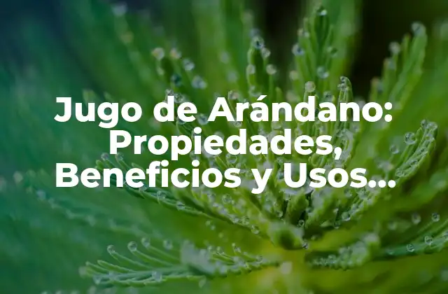 Jugo de Arándano: Propiedades, Beneficios y Usos Naturales