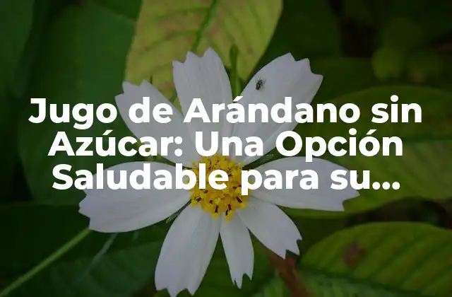 Jugo de Arándano sin Azúcar: una Opción Saludable para Su Salud
