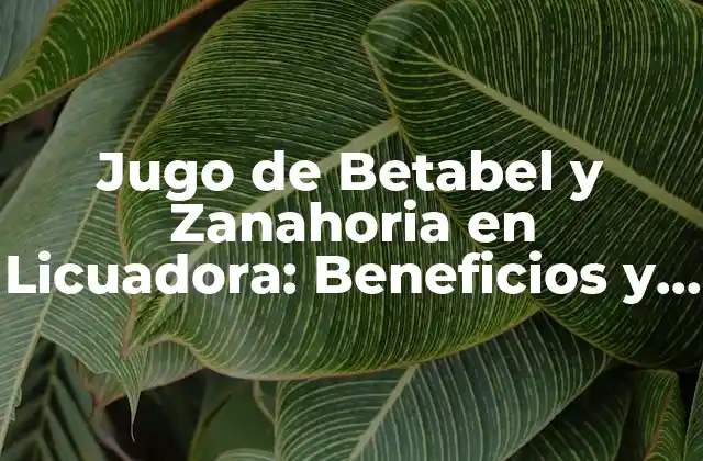 Jugo de Betabel y Zanahoria en Licuadora: Beneficios y Recetas