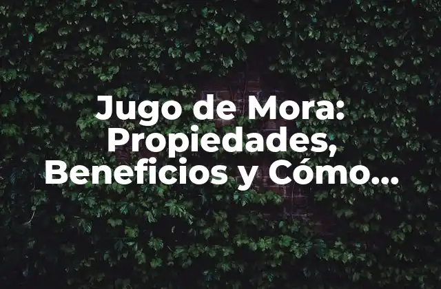 Jugo de Mora: Propiedades, Beneficios y Cómo Prepararlo en Casa