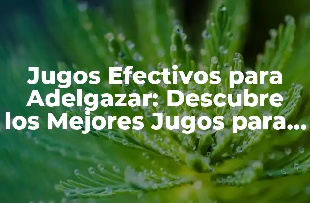 Jugos Efectivos para Adelgazar: Descubre los Mejores Jugos para Perder Peso