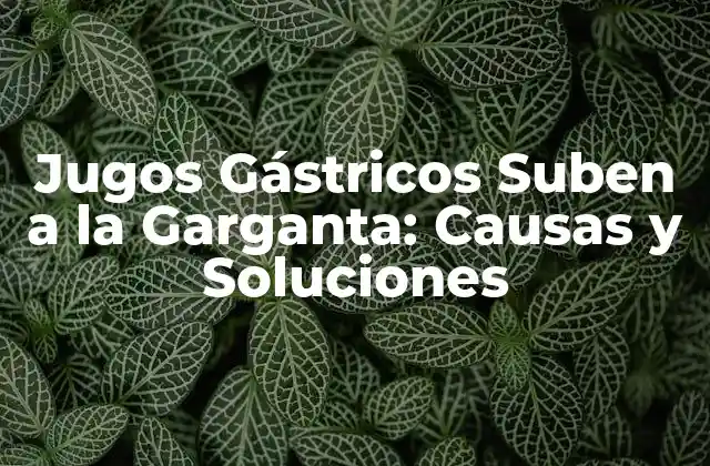 Jugos Gástricos Suben a la Garganta: Causas y Soluciones