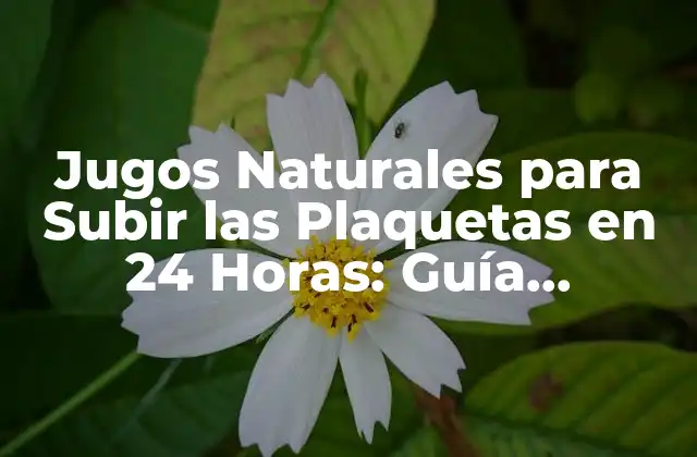 Jugos Naturales para Subir las Plaquetas en 24 Horas: Guía Completa