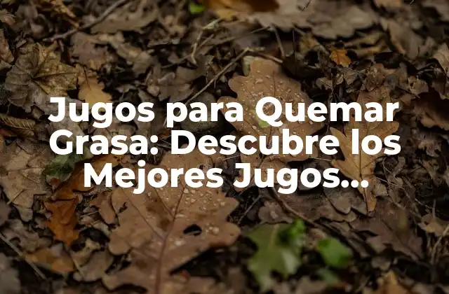 Jugos para Quemar Grasa: Descubre los Mejores Jugos Naturales para Perder Peso