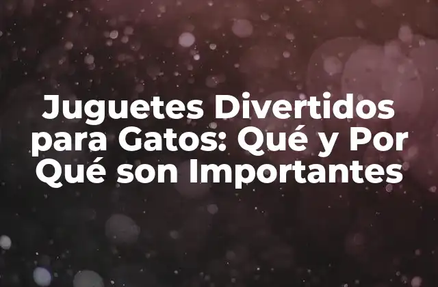 Juguetes Divertidos para Gatos: Qué y por Qué Son Importantes