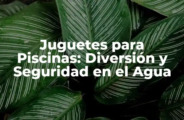 Juguetes para Piscinas: Diversión y Seguridad en el Agua