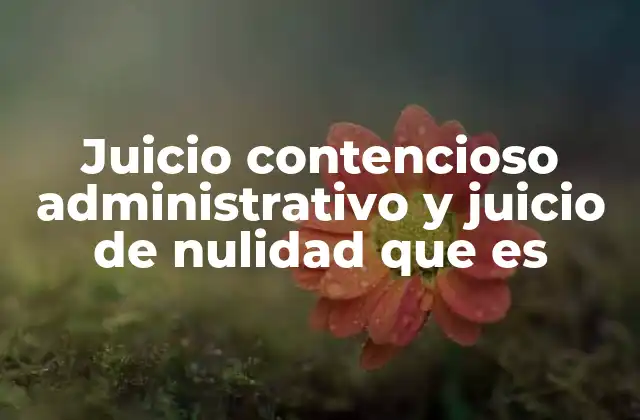 Diferencias entre los mecanismos de control judicial de actos estatales