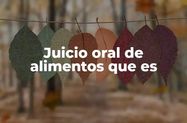 Juicio Oral de Alimentos que es