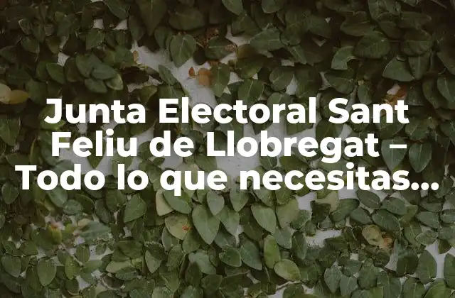 ¿Qué es la Junta Electoral de Sant Feliu de Llobregat?