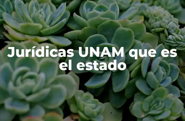 Jurídicas Unam que es el Estado