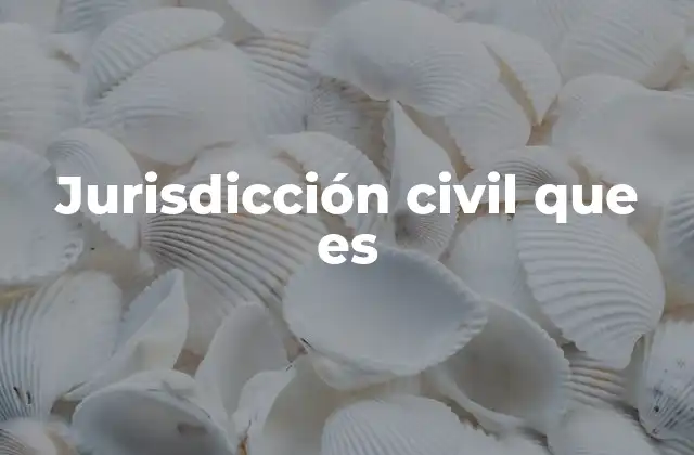 Jurisdicción Civil que es
