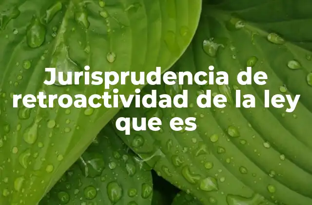 La importancia de la no retroactividad en el sistema legal