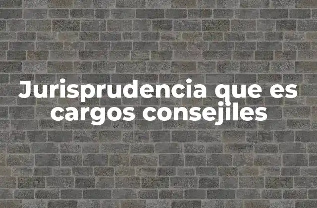 Jurisprudencia que es Cargos Consejiles 2 La importancia de la interpretación judicial en cargos de consejeros