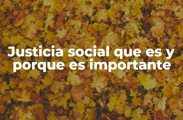 Justicia Social que es y Porque es Importante