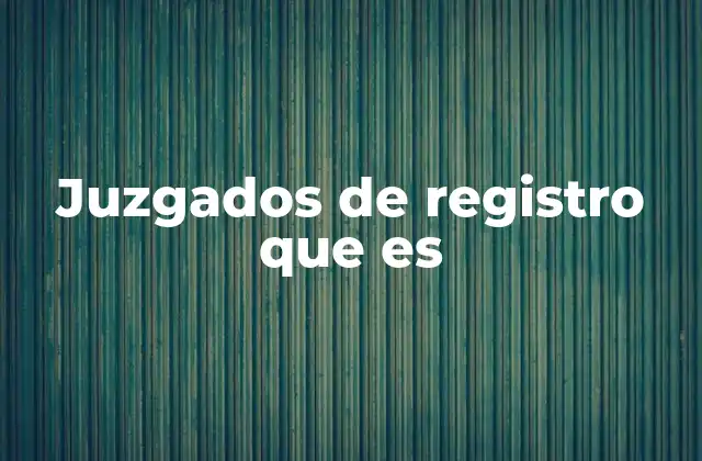 Juzgados de Registro que es