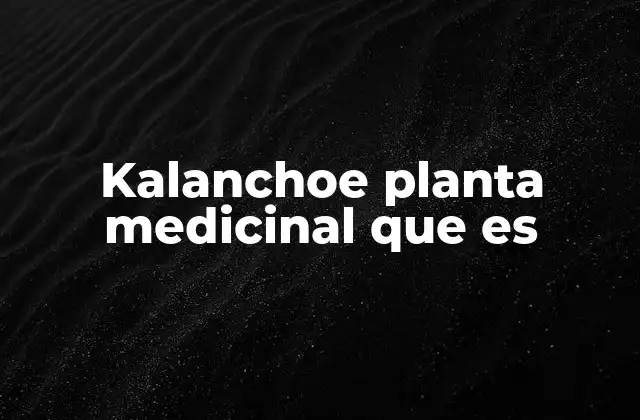 Kalanchoe Planta Medicinal que es