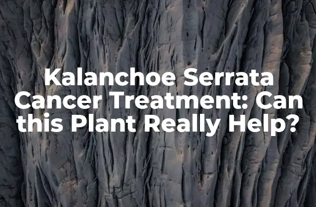 Kalanchoe Serrata Cancer Treatment: Can This Plant Really Help?