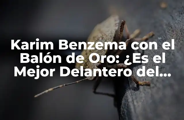 Karim Benzema con el Balón de Oro: ¿es el Mejor Delantero Del Mundo?