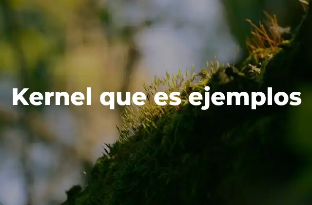 Kernel que es Ejemplos