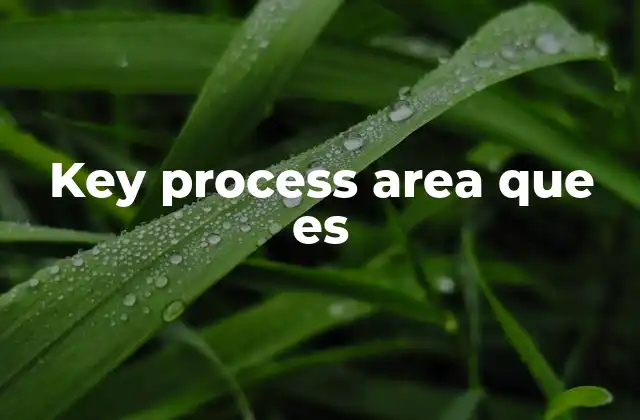 Key Process Area que es