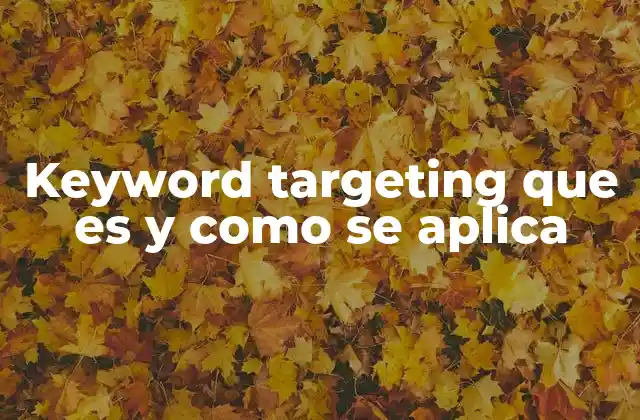 Keyword Targeting que es y como Se Aplica